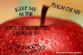 apple of my eye - psalm 17,8