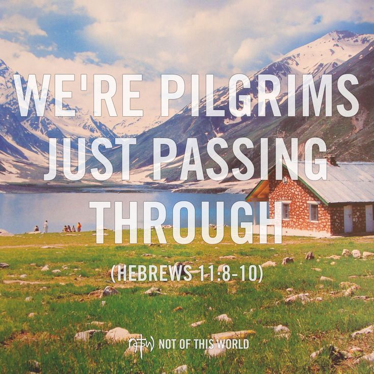 edb8cc042620994917ac978f91ed3c6b