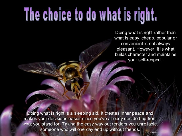 choices-that-shape-8-638